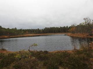 DSCN8153