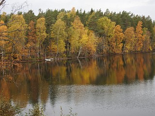 Höstbild Strömsfors