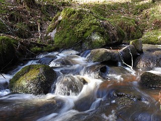 Getåravinen