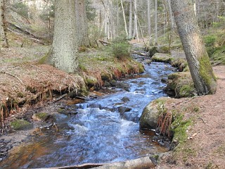 Getåravin